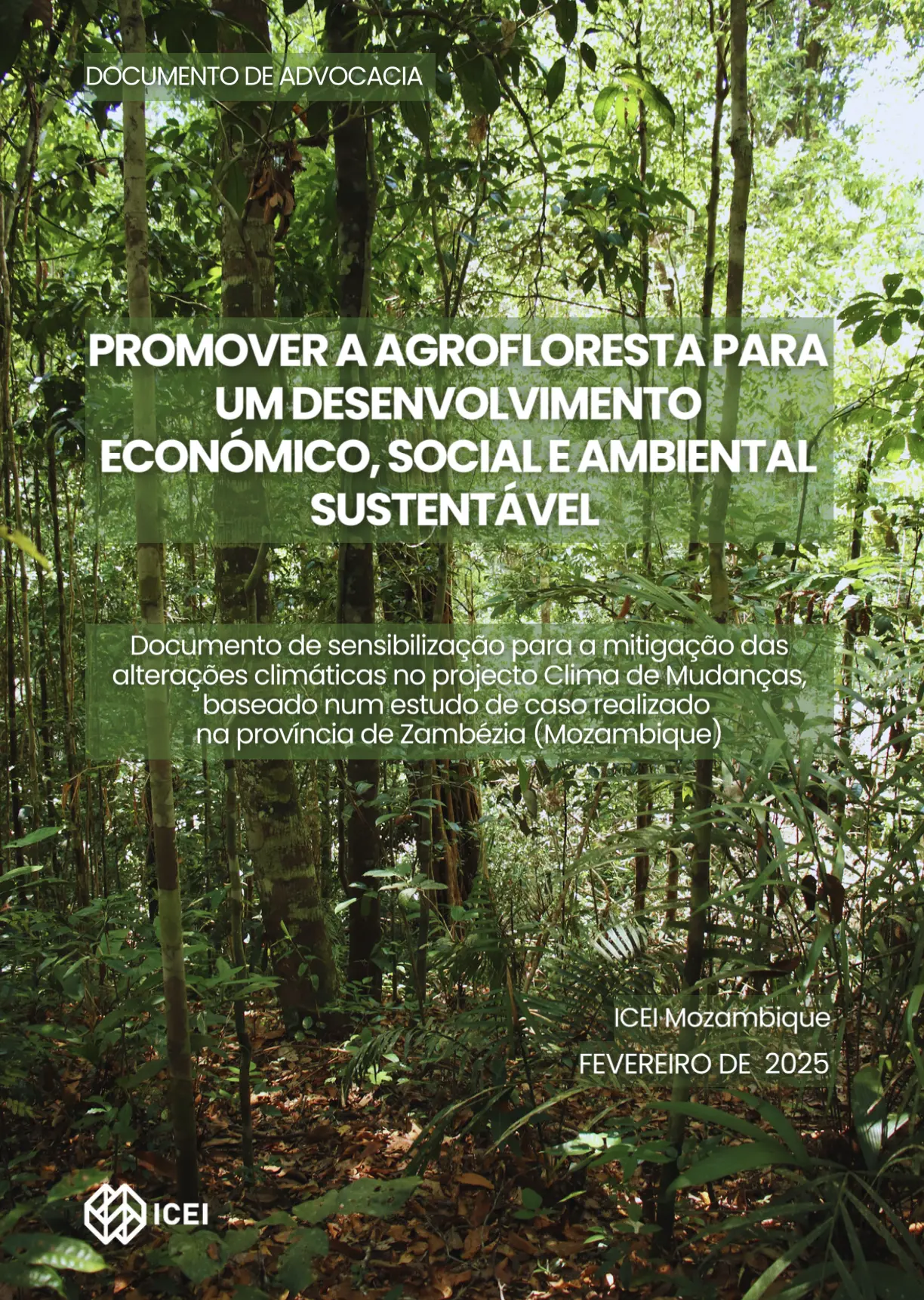 Documento de advocacia_ICEI_Ethaka_Clima de Mudancas